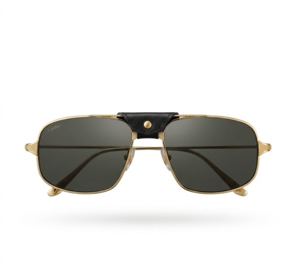 Cartier CT0193S